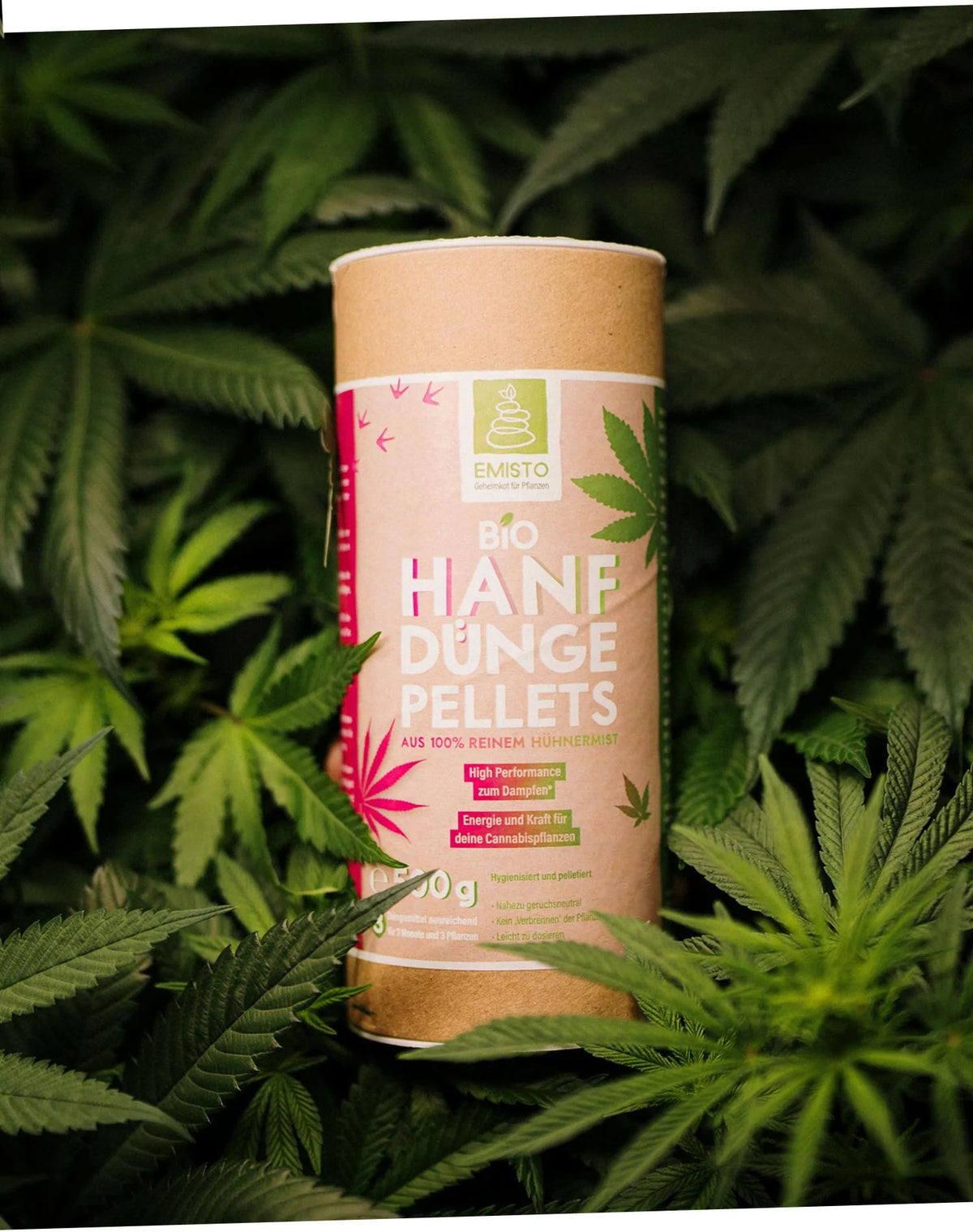 Bio Hanfdünger Pellets aus reinem Hühnermist für optimale Cannabispflanzen, im grünen Blattwerk.