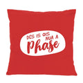 Kissen "Nua a Phase..."